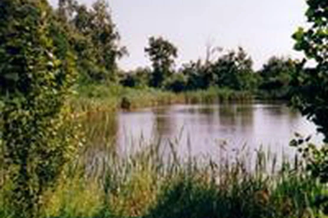 camping-aire-naturelle-de-vincent-pierre-henri-st-mathurin-vhi1z