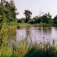 camping-aire-naturelle-de-vincent-pierre-henri-st-mathurin-vhi1z