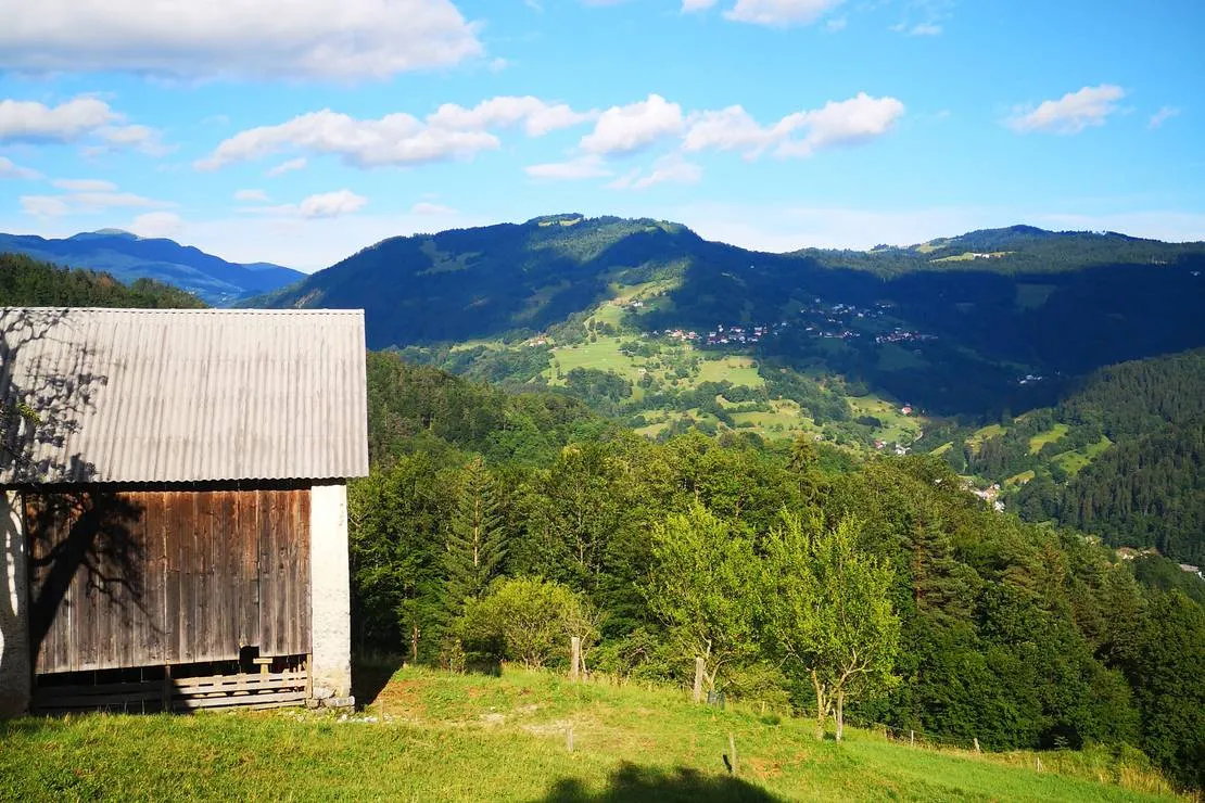 kmetija-camp-zalaze-cerkno-jsyjs