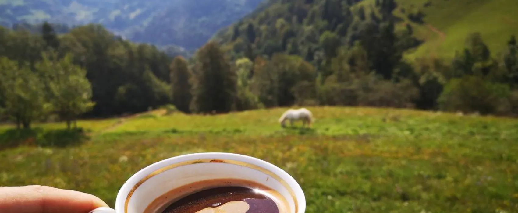 Kmetija Camp Zalaze