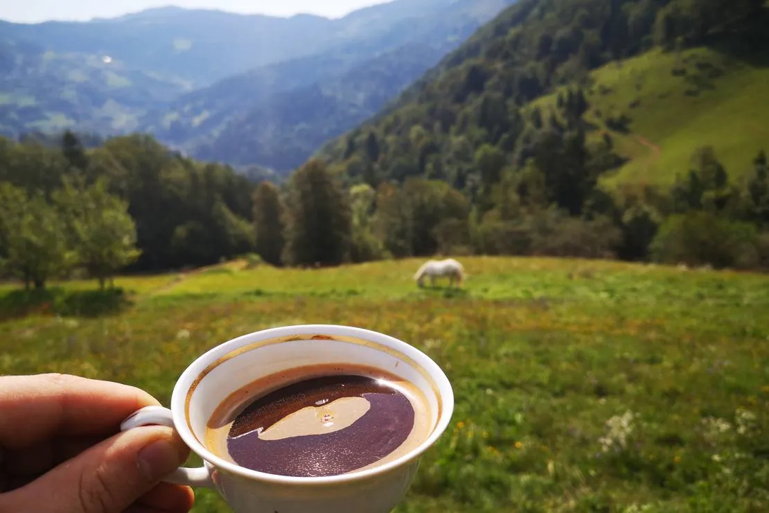 kmetija-camp-zalaze-cerkno-m9doq