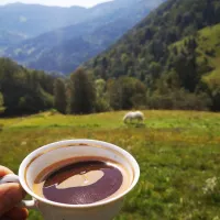 kmetija-camp-zalaze-cerkno-m9doq