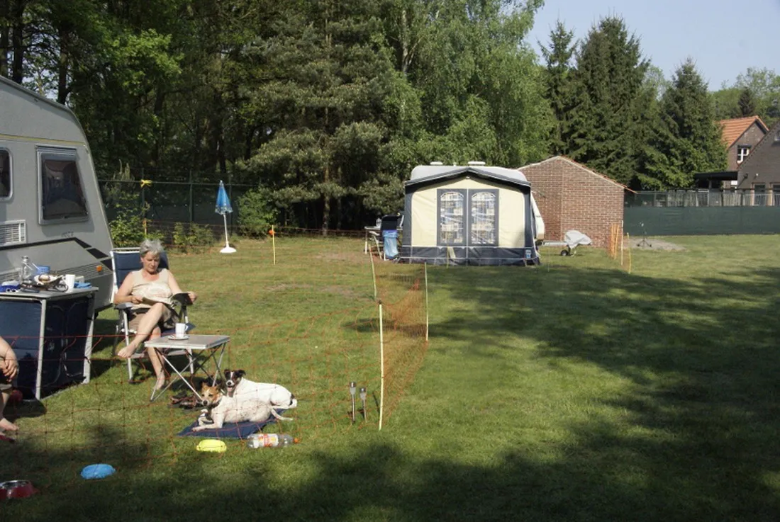 minicamping-t-haasje-grashoek-pqjis