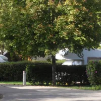 domaine-des-gabelous-salins-les-bains-yydq6