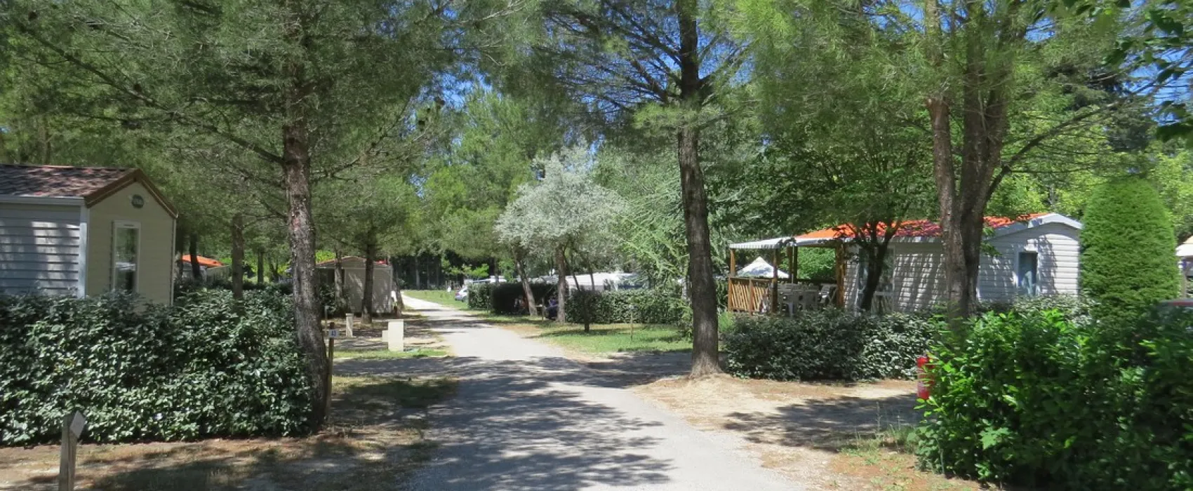 Fontisson