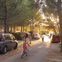 fontisson-chateauneuf-de-gadagne-ulxtm