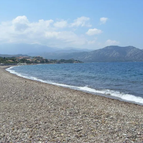 dolzo-st-florent-56ksx