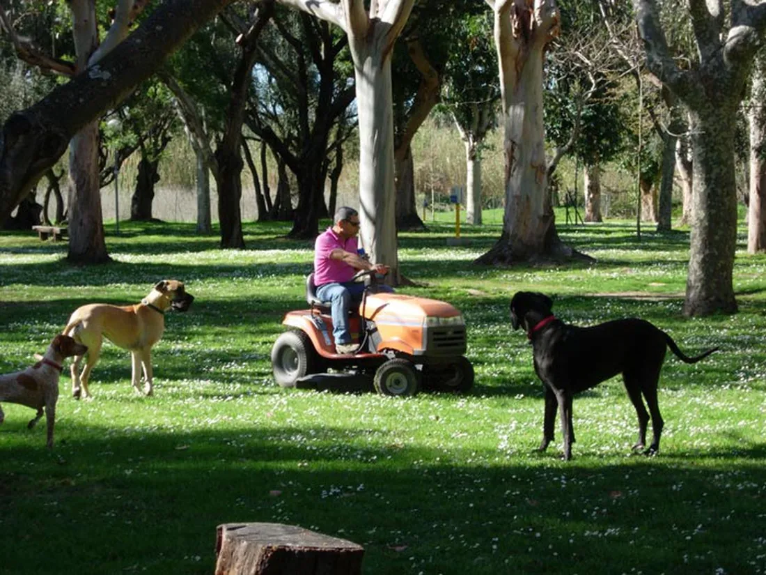 dolzo-st-florent-emk0v