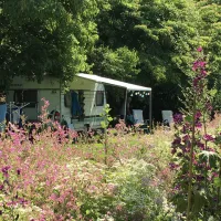 de-zoete-aagt-groesbeek-7gxjf