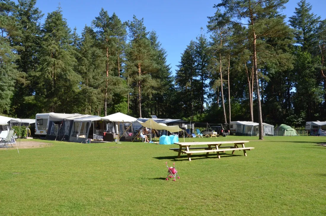 samoza-vierhouten-leoea