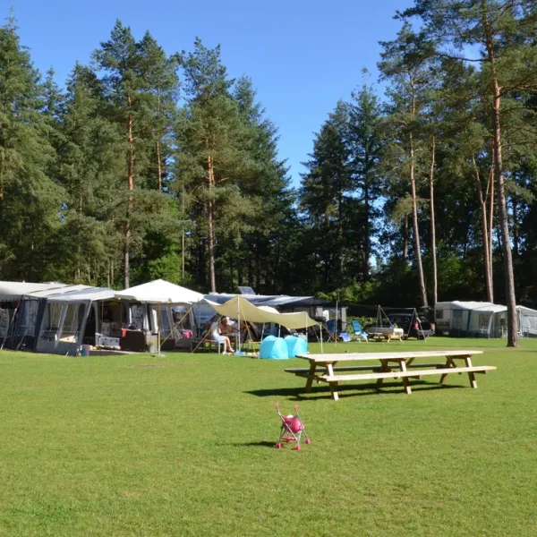 samoza-vierhouten-leoea