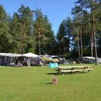 samoza-vierhouten-leoea