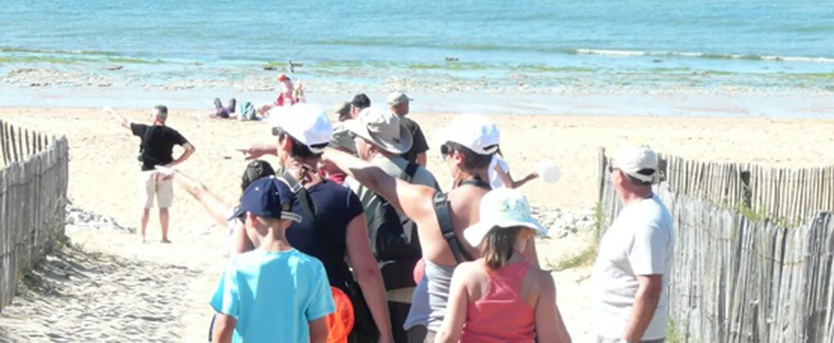 l'Ile Cariot