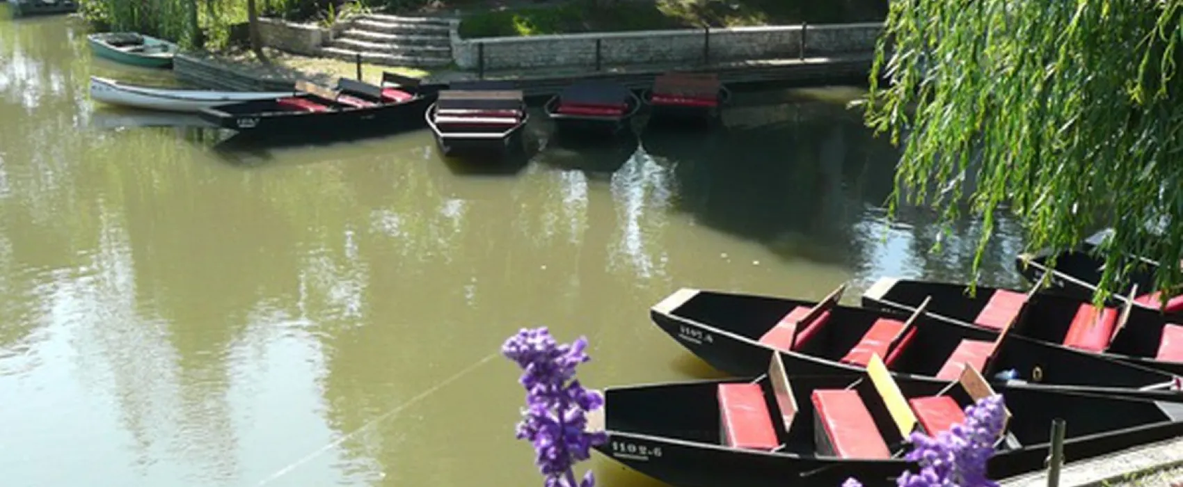 l'Ile Cariot
