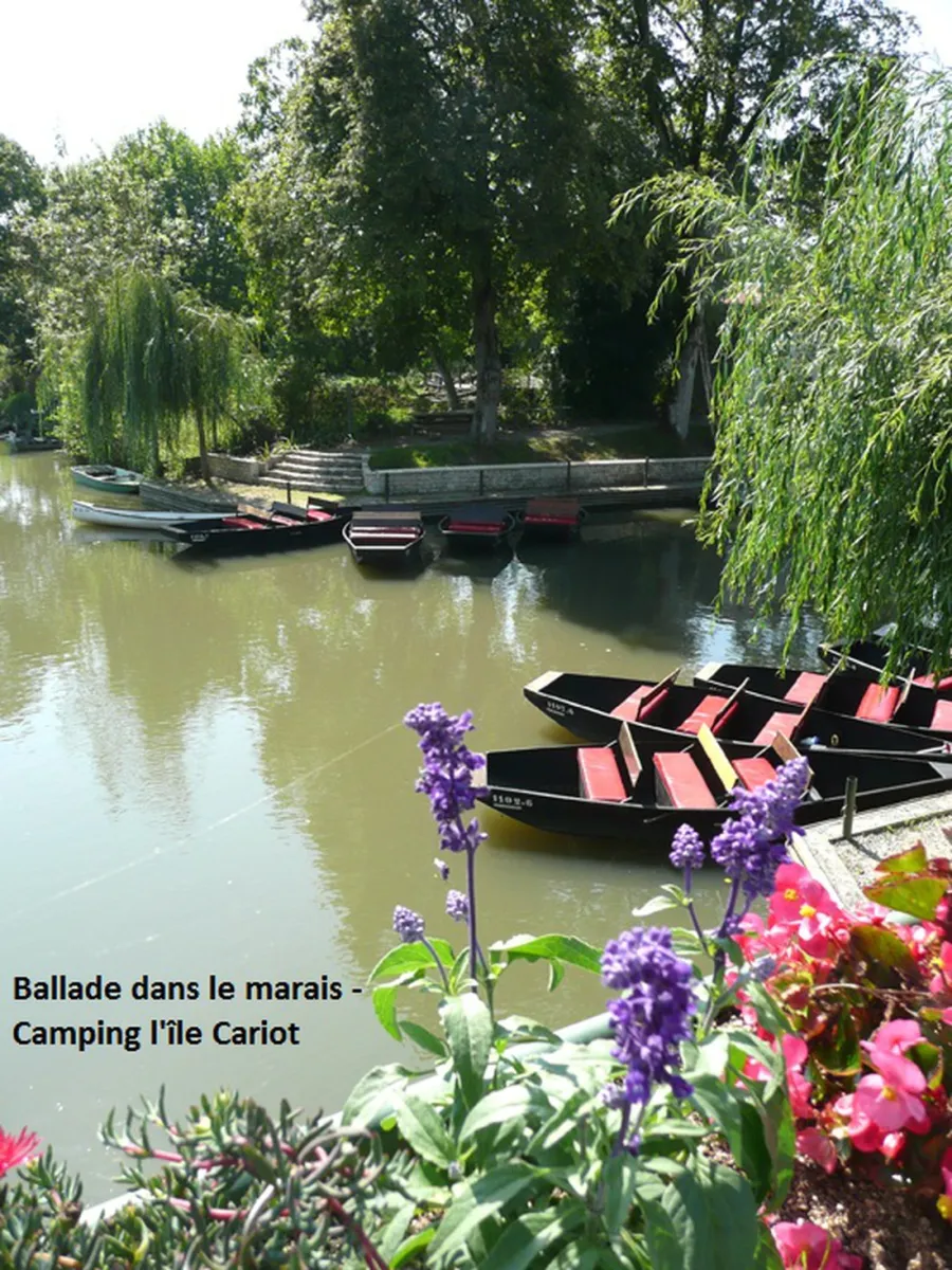 lile-cariot-chaille-les-marais-anppg
