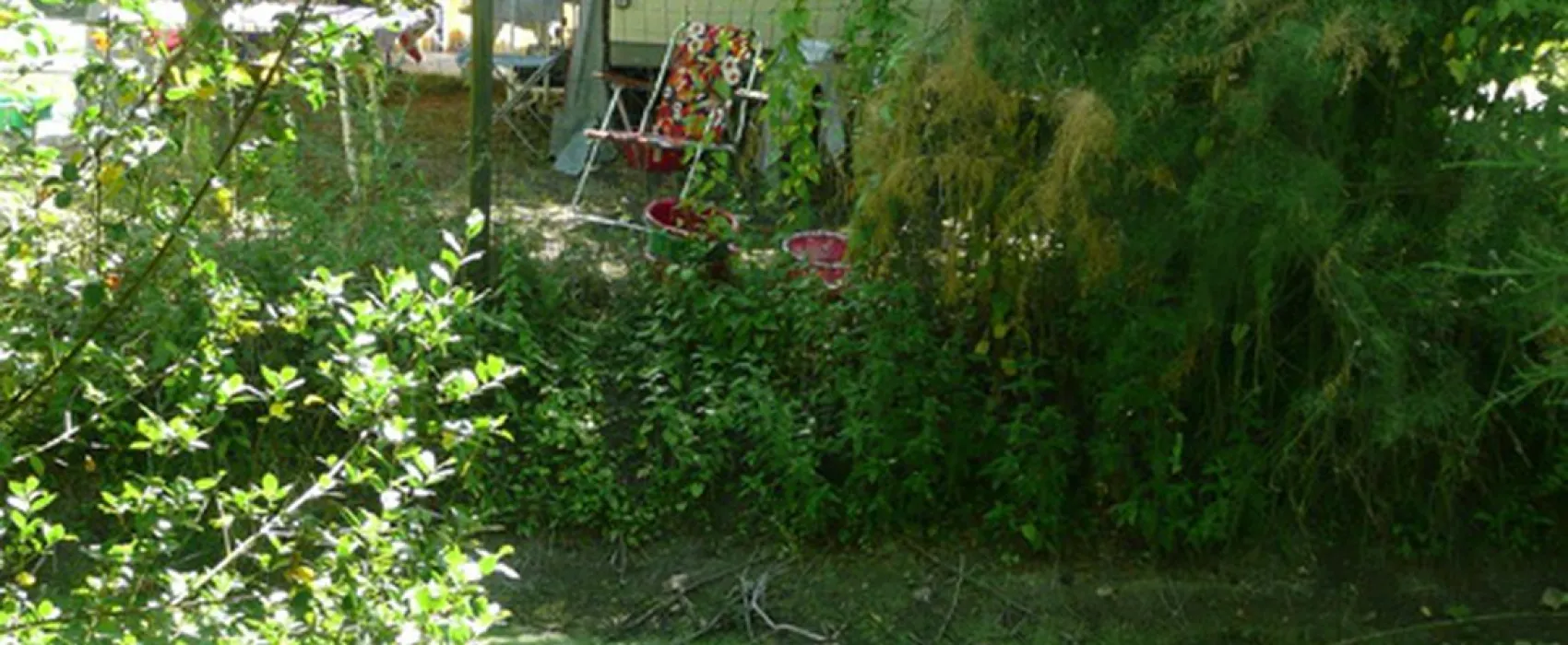 l'Ile Cariot