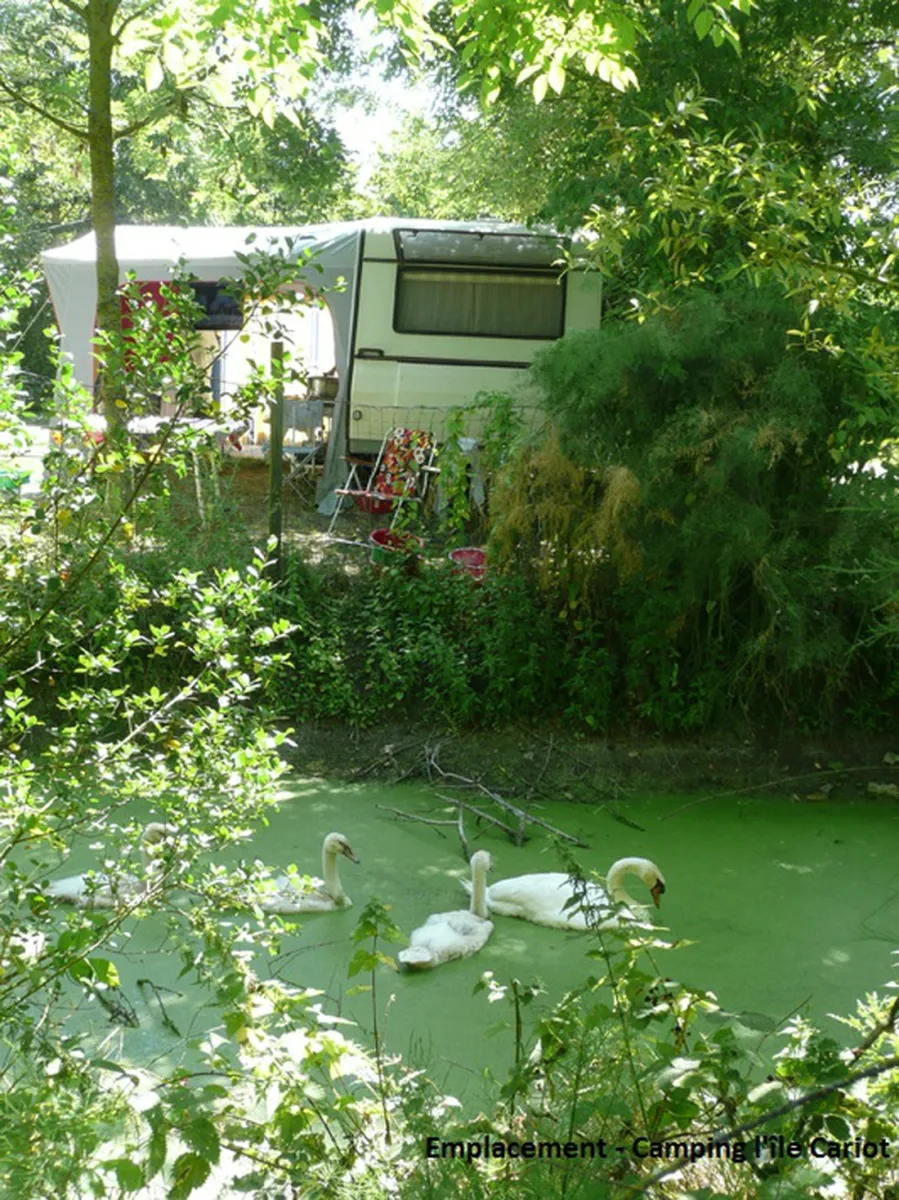 lile-cariot-chaille-les-marais-crtma