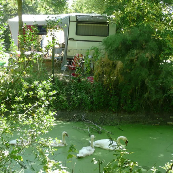 lile-cariot-chaille-les-marais-crtma