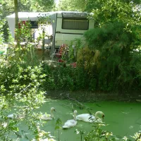 lile-cariot-chaille-les-marais-crtma