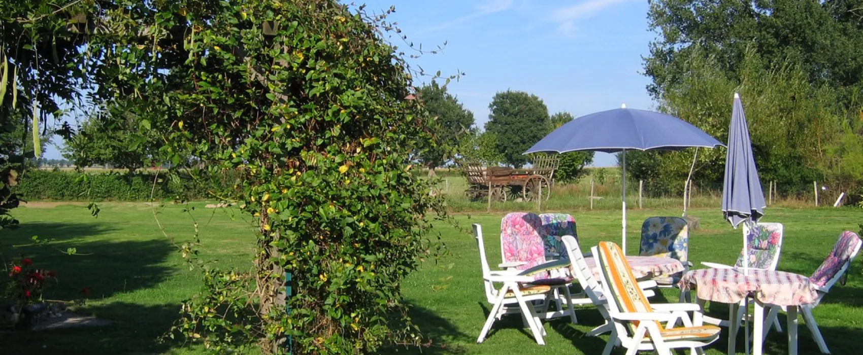 Le Tournesol