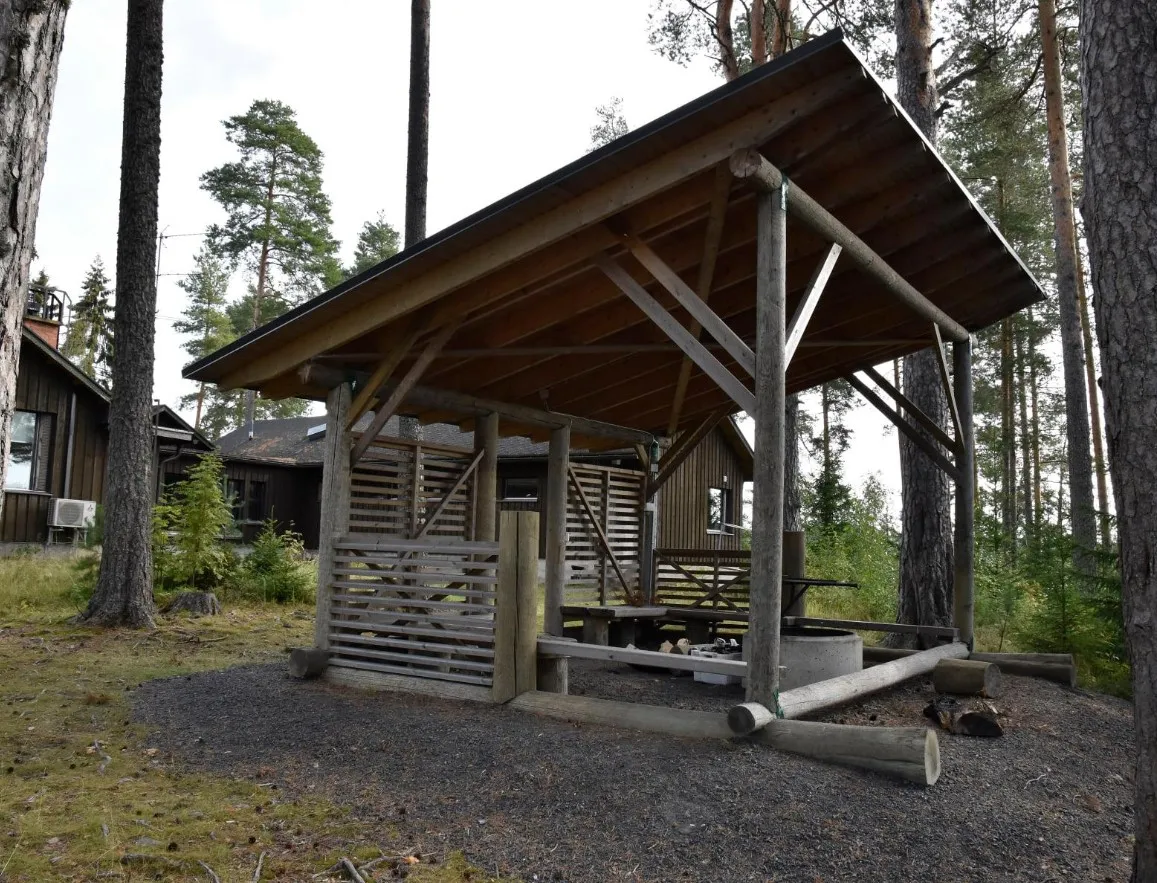 vaarnisaaren-ystavat-lapinlahti-dddos