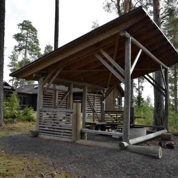 vaarnisaaren-ystavat-lapinlahti-dddos