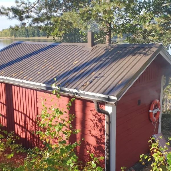 vaarnisaaren-ystavat-lapinlahti-etdbd