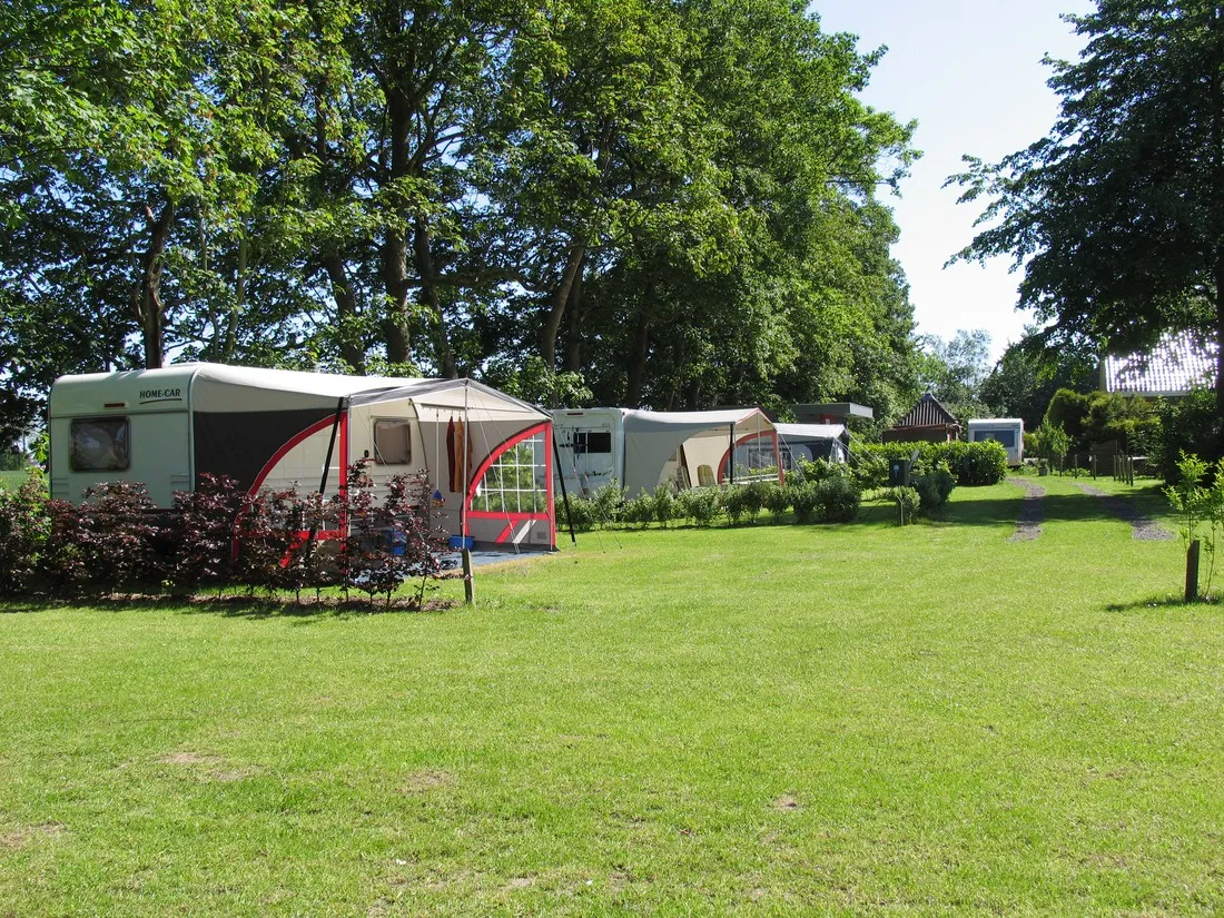 de-blauwe-reiger-pieterzijl-mte6q