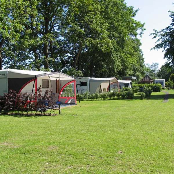de-blauwe-reiger-pieterzijl-mte6q