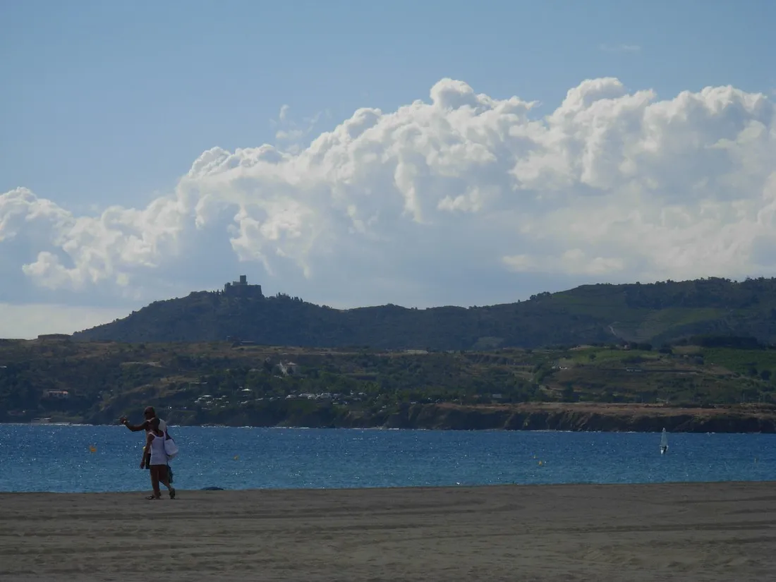au-flamenco-argelegraves-sur-mer-si31h