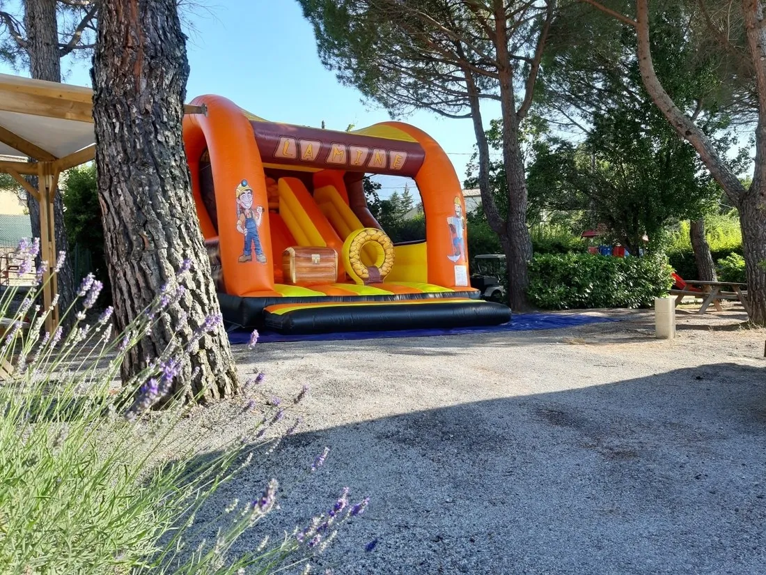 flower-provence-vallee-manosque-ol38o