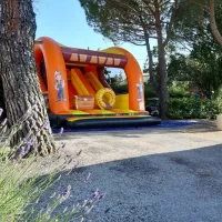 flower-provence-vallee-manosque-ol38o