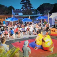 flower-provence-vallee-manosque-rp5ur