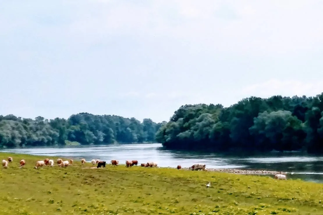 campingplatz-zelen-gaj-lonja-8qy8p