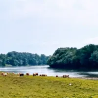 campingplatz-zelen-gaj-lonja-8qy8p