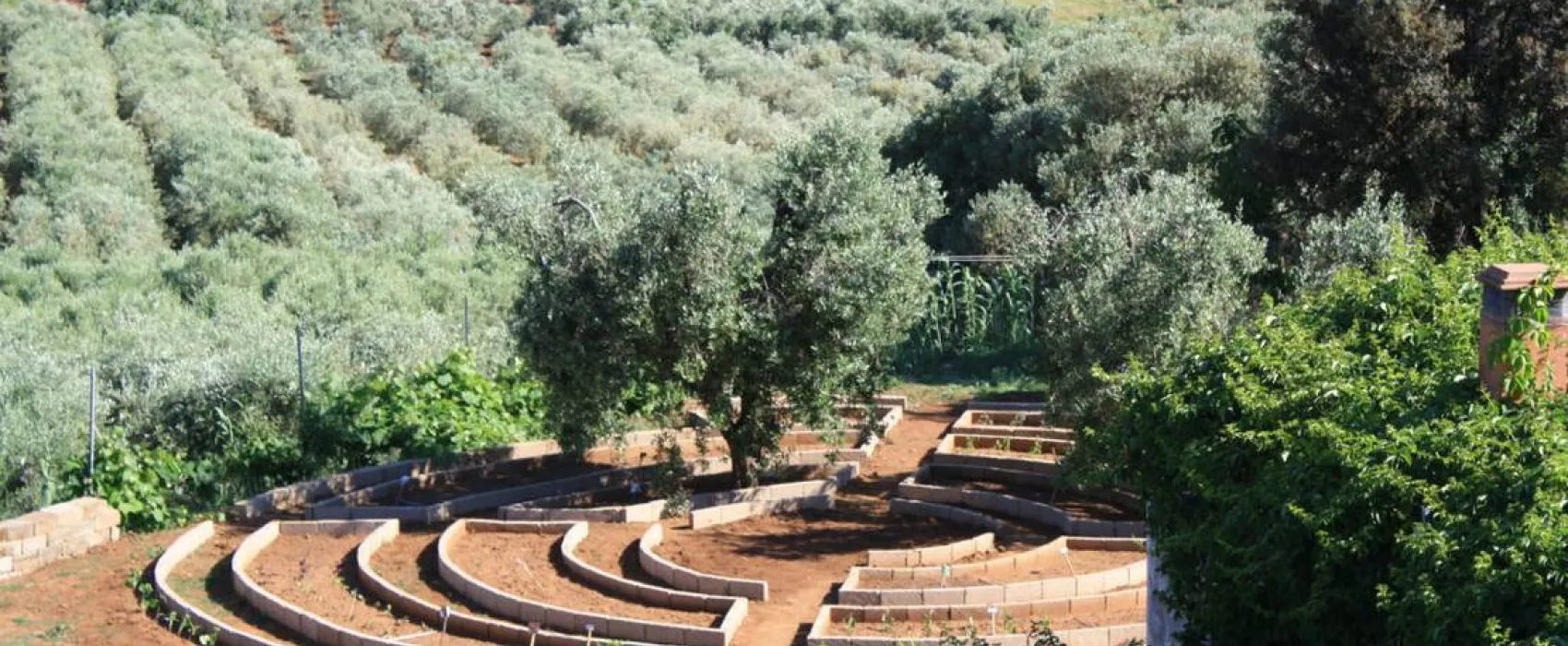 SS. Annunziata