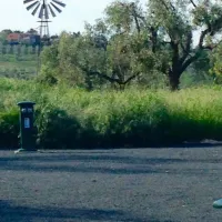 ss-annunziata-san-vincenzo-li-vfngq