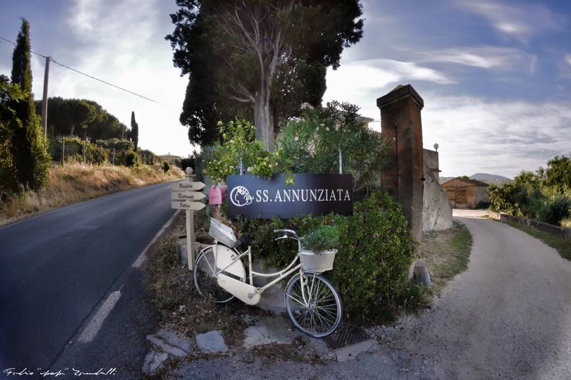 ss-annunziata-san-vincenzo-li-x28bm