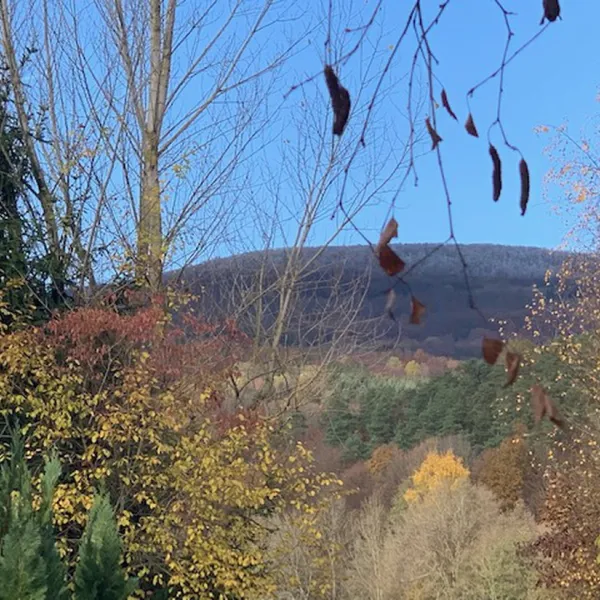kellersbach-waldberg-cnkt7