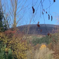 kellersbach-waldberg-cnkt7