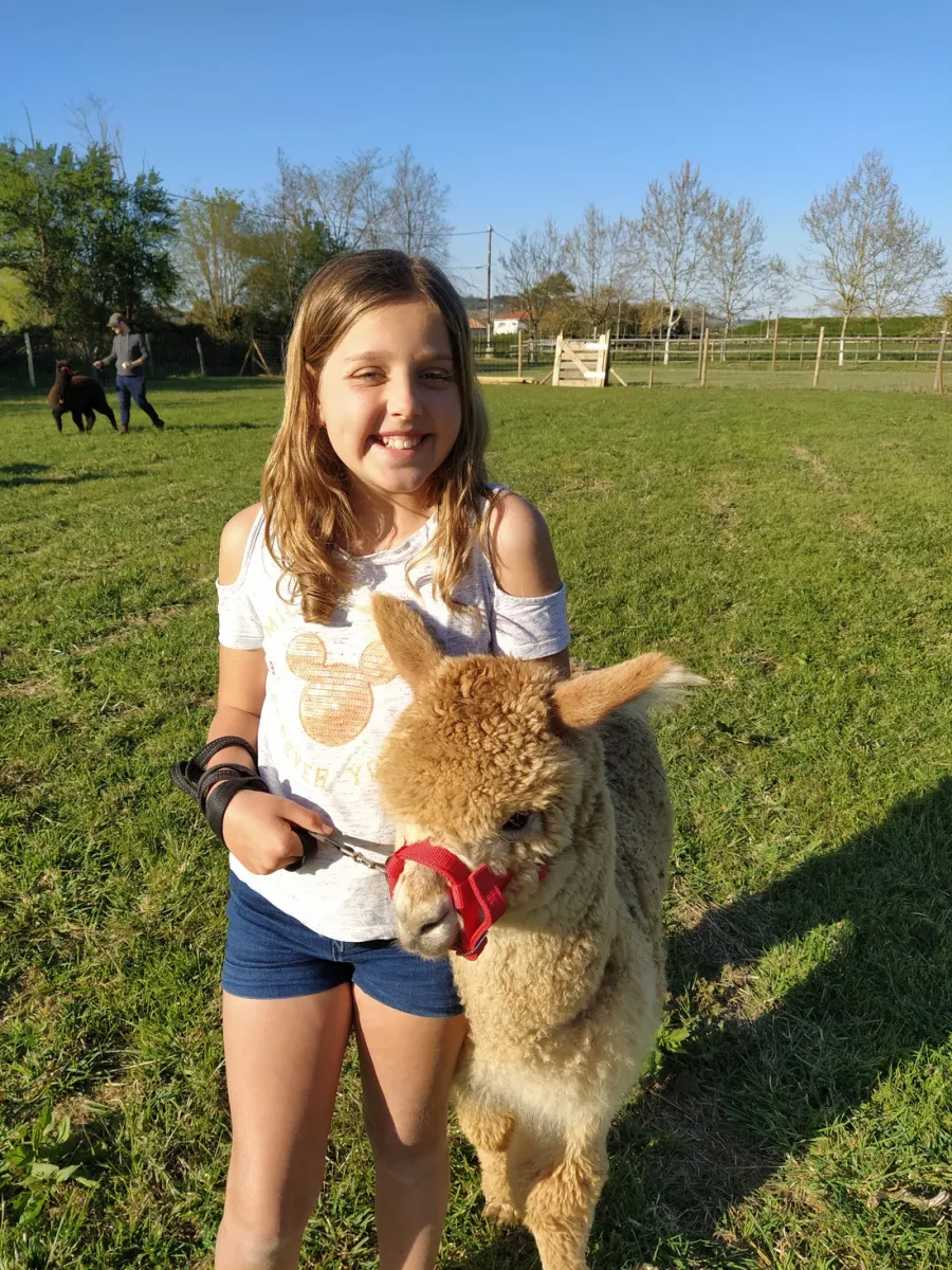 domaine-ramonjavel-glamping-fongrave-96mhk