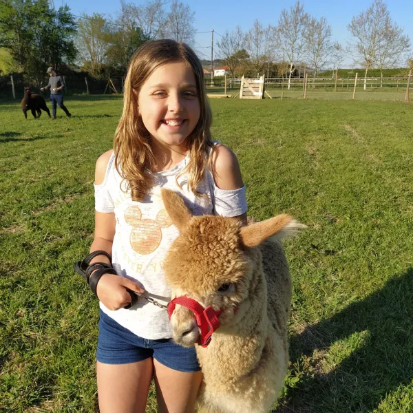 domaine-ramonjavel-glamping-fongrave-96mhk