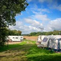 fallowfield-dene-c-c-park-acomb-qxduy