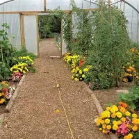 west-field-farm-camping-hull-7wkfu