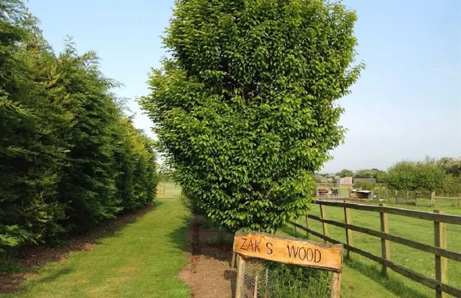 west-field-farm-camping-hull-ciwqj