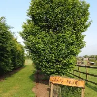 West Field Farm Camping