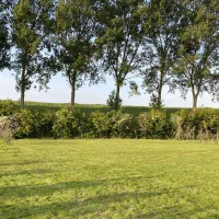 recreatieboerderij-goede-hope-hoofdplaat-qxeay