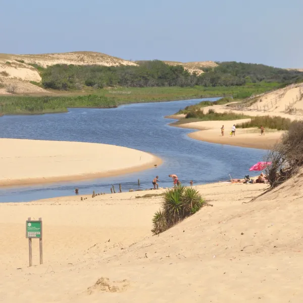 punta-lago-leon-643uv