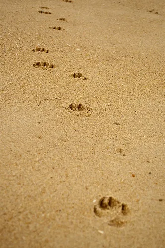golden-beach-campground-golden-beach-u87w8