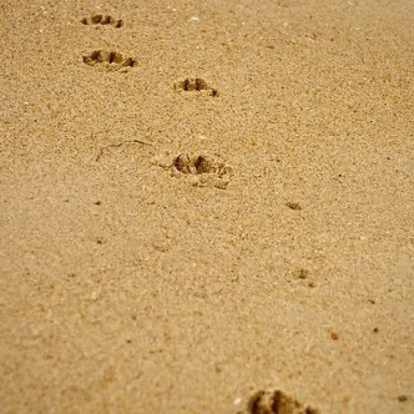golden-beach-campground-golden-beach-u87w8